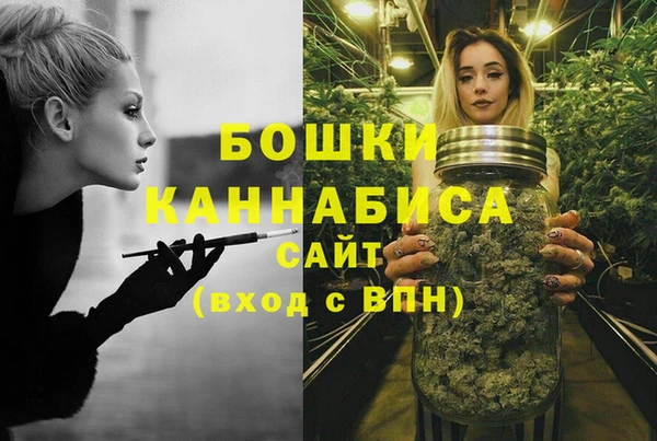прущие грибы Каменск-Шахтинский