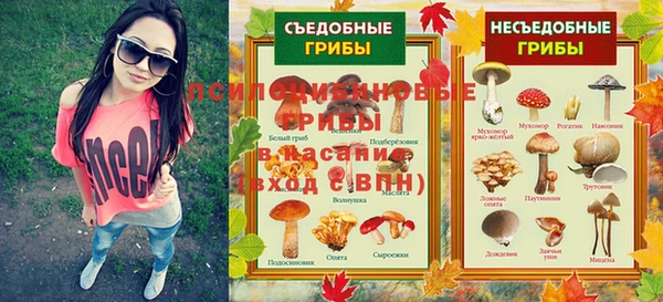 прущие грибы Каменск-Шахтинский