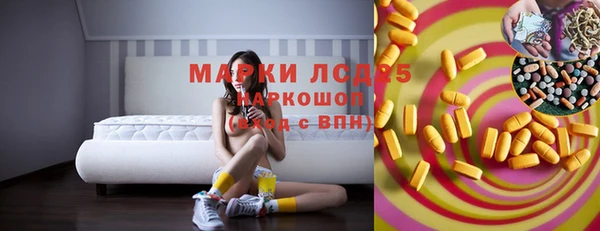прущие грибы Каменск-Шахтинский