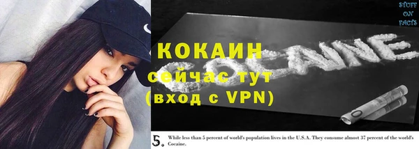 прущие грибы Каменск-Шахтинский