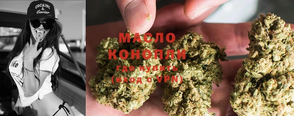 прущие грибы Каменск-Шахтинский