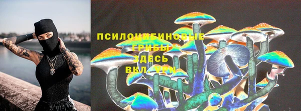 МДМА Каменка