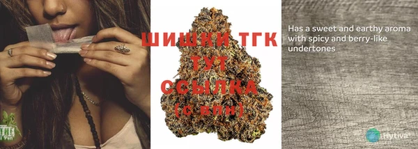 прущие грибы Каменск-Шахтинский