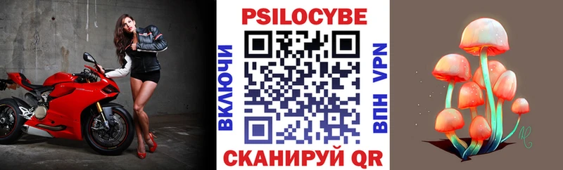 Купить где  Пушкино  Галлюциногенные грибы GOLDEN TEACHER 